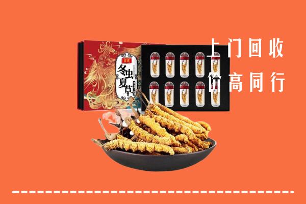 察布查尔县回收虫草
